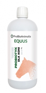 Probiotyk dla koni - 1L 